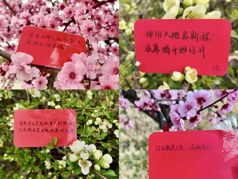 4ba91eeb5d5c34a6a591fea4644f7833